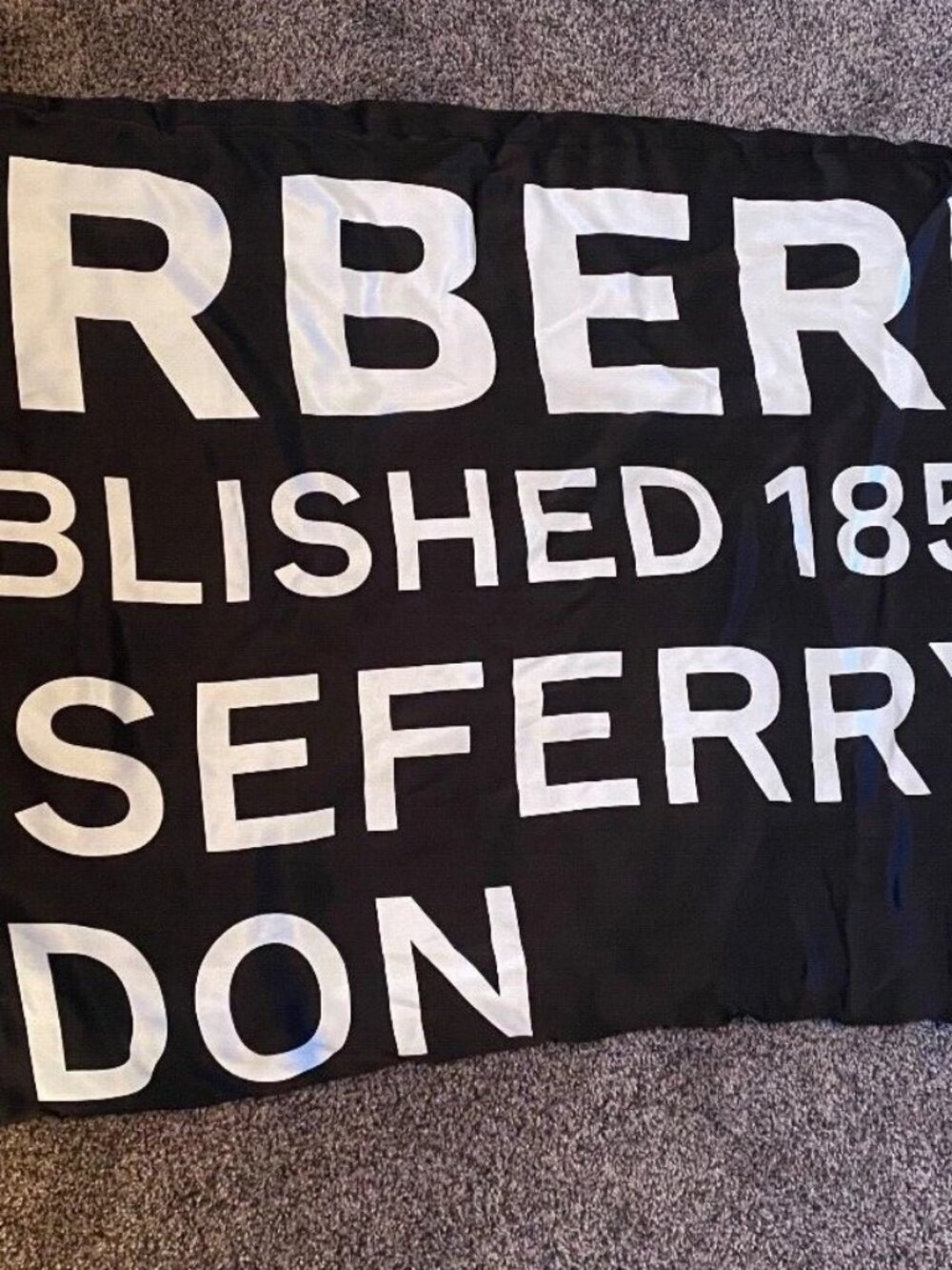 Burberry Archive Silk Printed Puffer Scarf